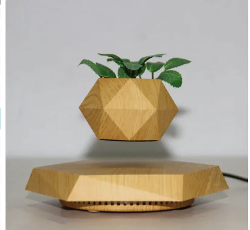 Magnetic Floating Flower Pot