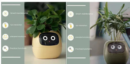 Smart Planter