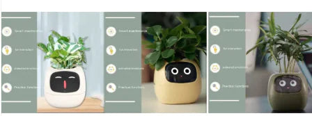 Smart Planter