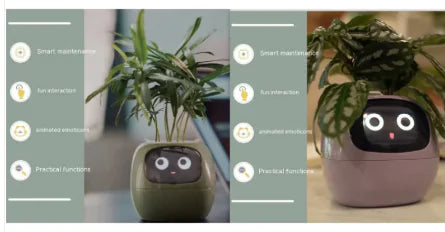 Smart Planter