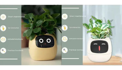 Smart Planter