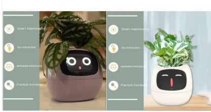 Smart Planter