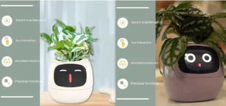 Smart Planter