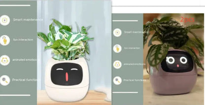 Smart Planter