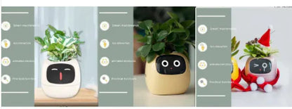 Smart Planter